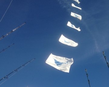 Blue marlin flags on a boat
